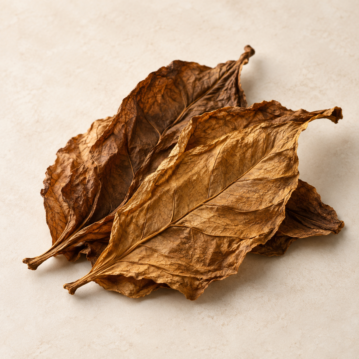 Tobacco Extract